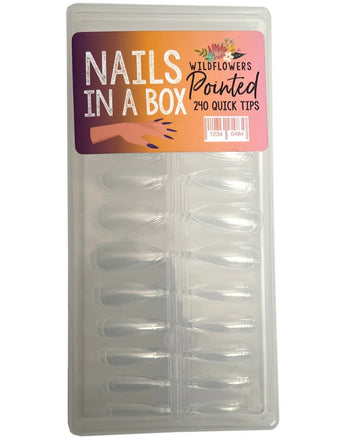 Nails in a Box Pointed 240pce