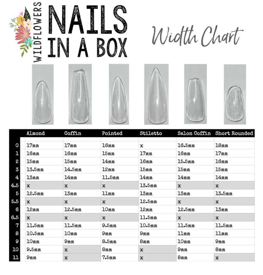 Nails in a Box Pointed 240pce